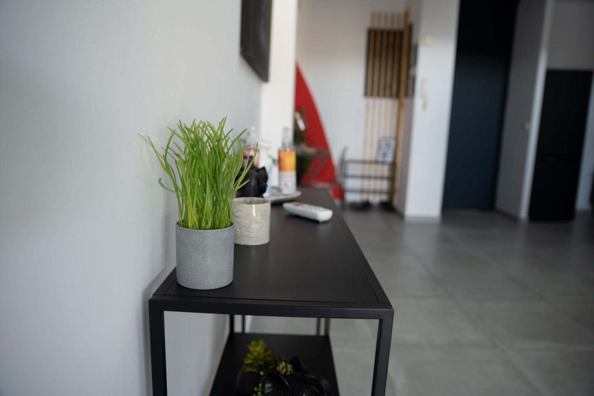 L'Elegance Citadine Apartman Cayenne Kültér fotó